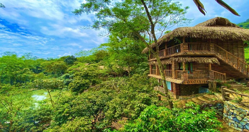 Khách sạn Jungle Lodge Pu Luong Thanh Hóa