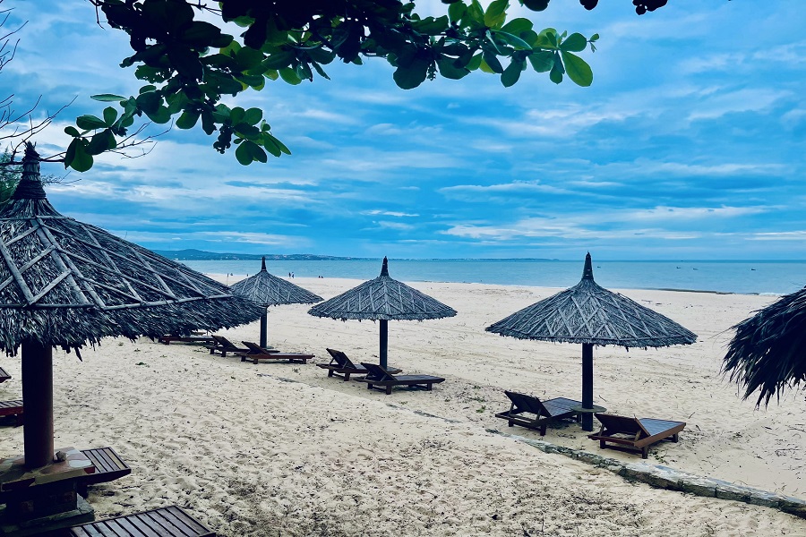 Bãi biển nhiều hàng ghế nằm tại resort Sea Lion Beach Resort Mũi Né