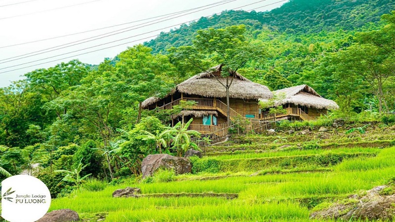 Khách sạn Pù Luông Jungle Lodge Thanh Hóa