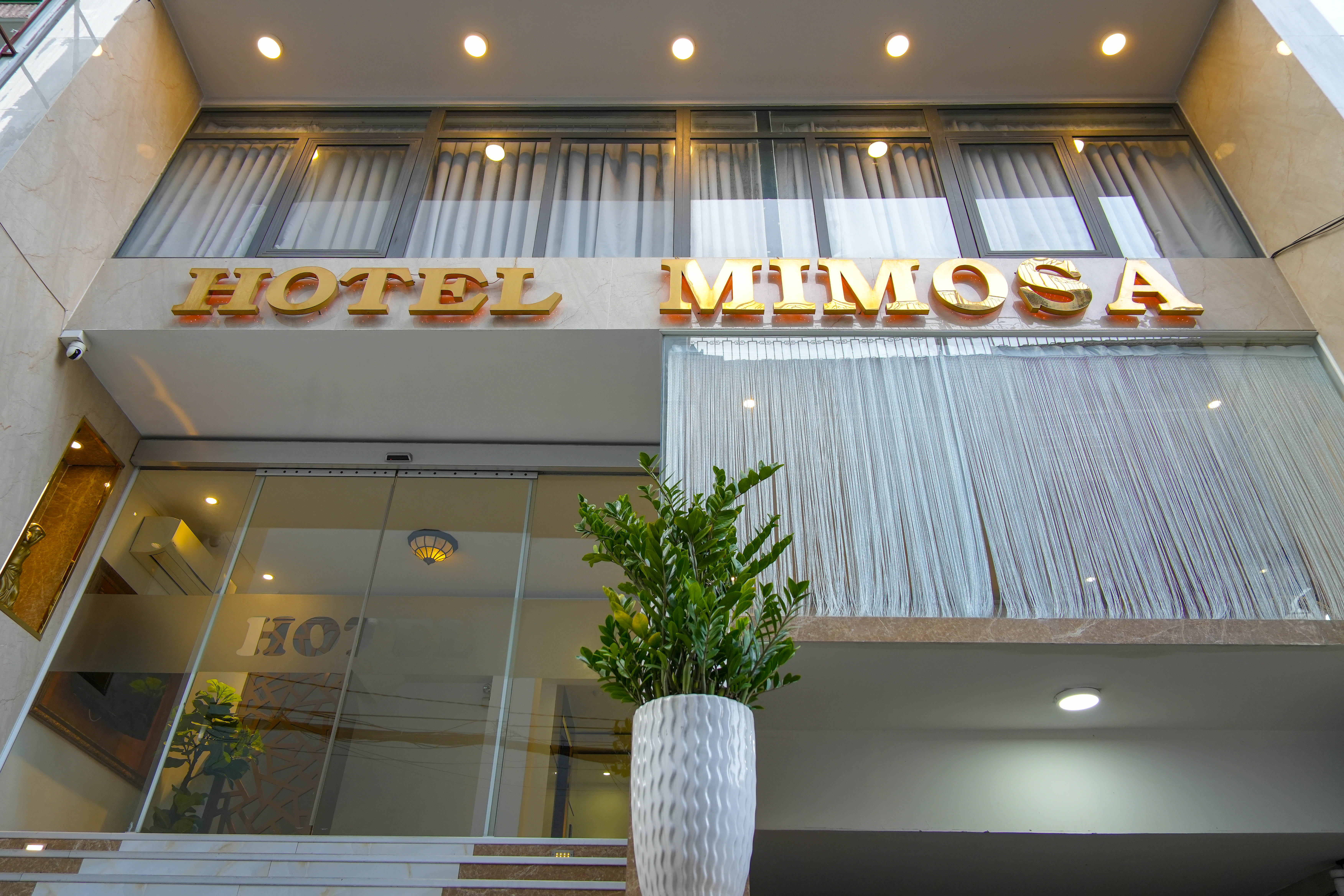 Hotel Mimosa Quận 10